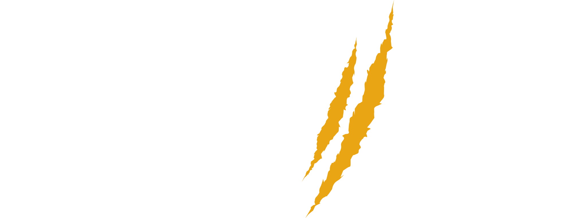 Kroegtijgers